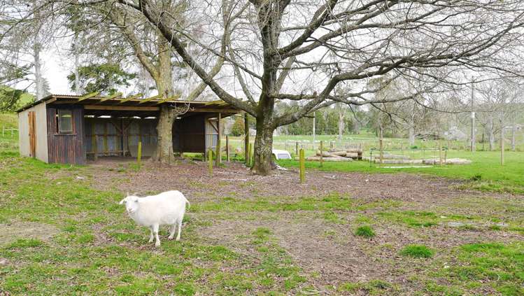 223 Yankee Road Rerewhakaaitu_13