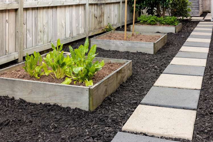 174 The Boulevard Papamoa_25