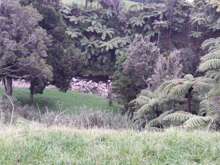 1102 Mangorei Road Mangorei_23