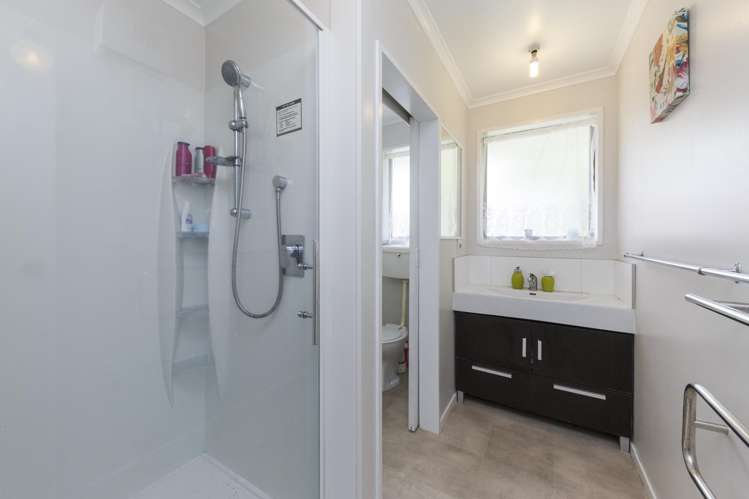 155a Ruahine Street Roslyn_7