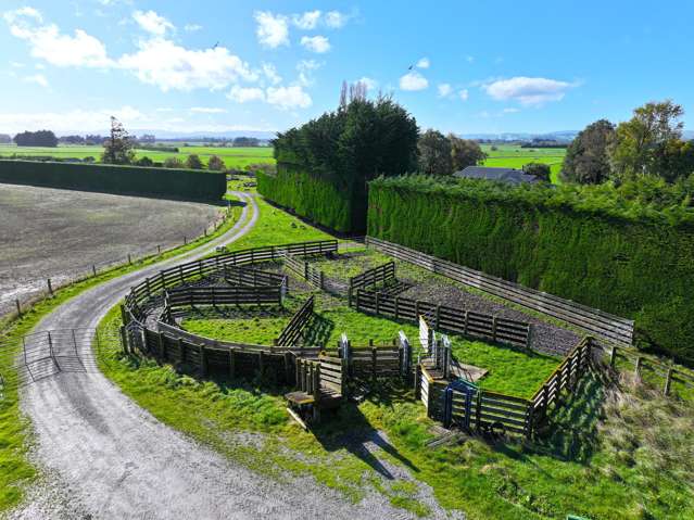 140 Day Road Oreti Plains_4