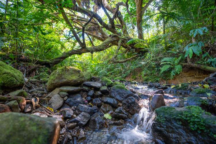 9 Whatonga Place (Pvt) Whangarei Heads_43