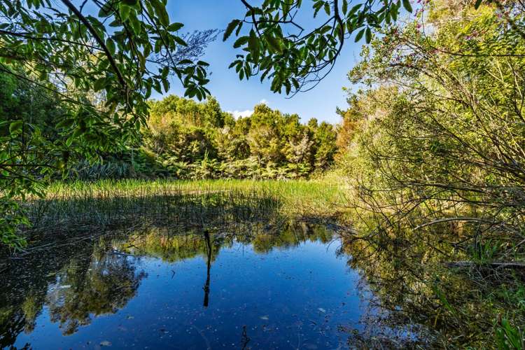 Lot 1/332 Kapiro Road Kerikeri_12