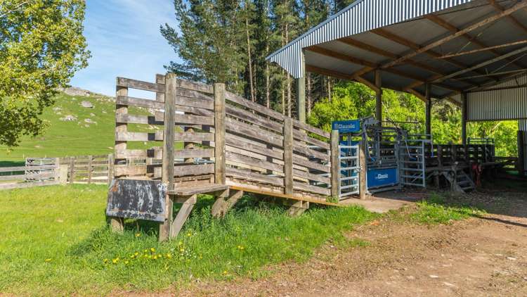 360 Quarry Road Loburn_14