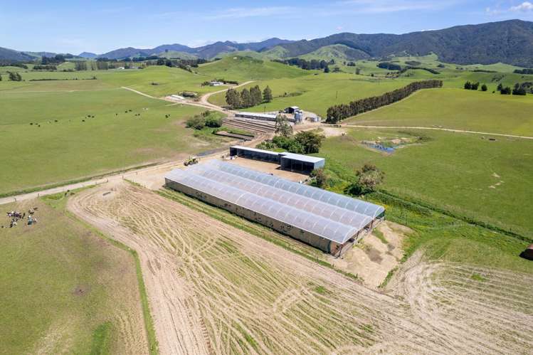 184 South Road No 2 Eketahuna_1