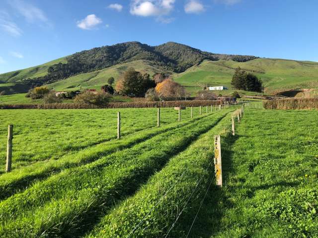 659 Kakepuku Road Te Awamutu_4