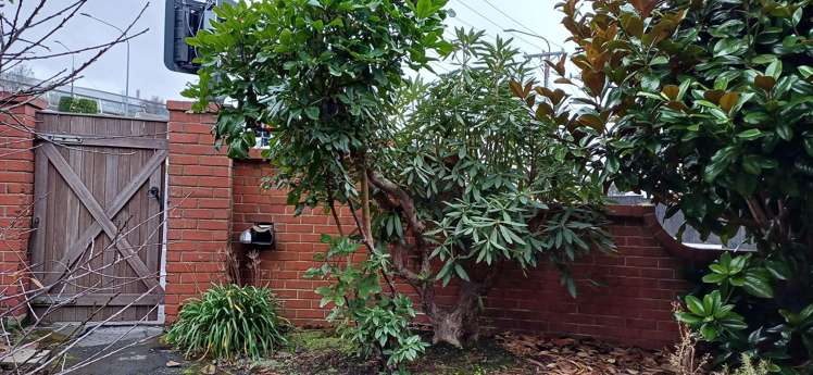 144 London Street Dunedin Central_17