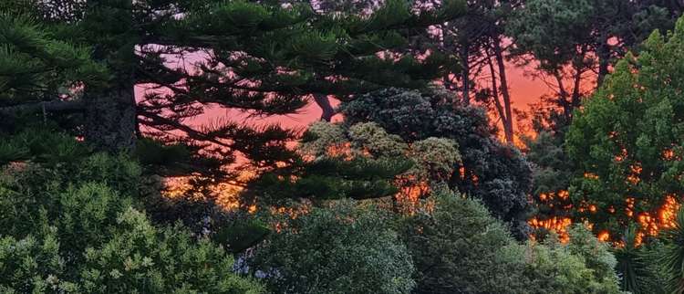 1/28 Morton Avenue Forrest Hill_15