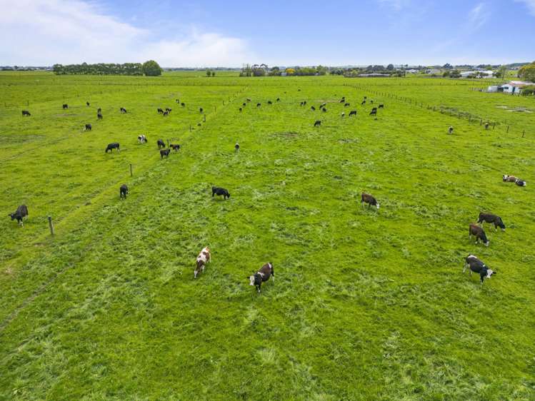 517 Gillespies Line Kairanga_3