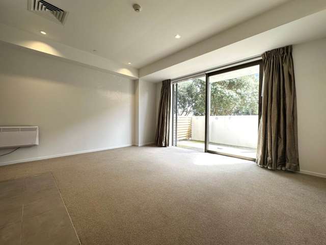 03/4g Bluegrey Avenue Stonefields_2