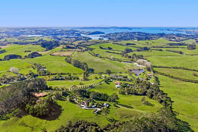 Space, Style & Scope in Matakana