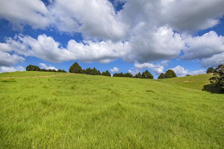 Lot 1 Oetzman Rd Hikurangi Rd2_14