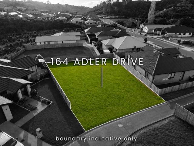 164 Adler Drive Ohauiti_2