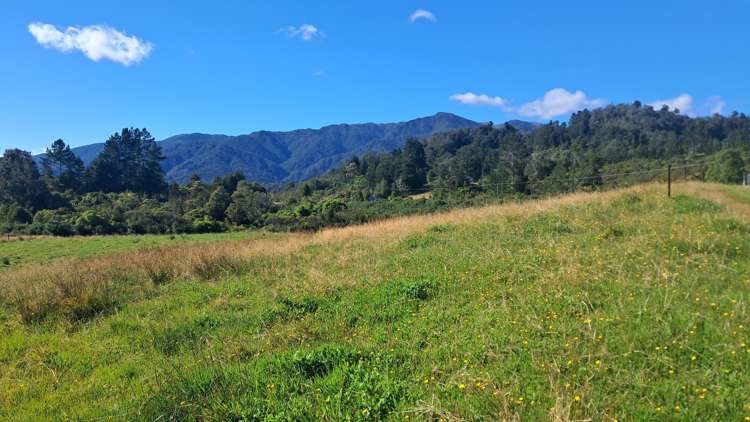 7868 Lower Buller Gorge Road Westport_10