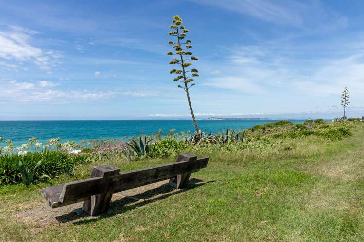 180 Whirinaki Road Eskdale_22