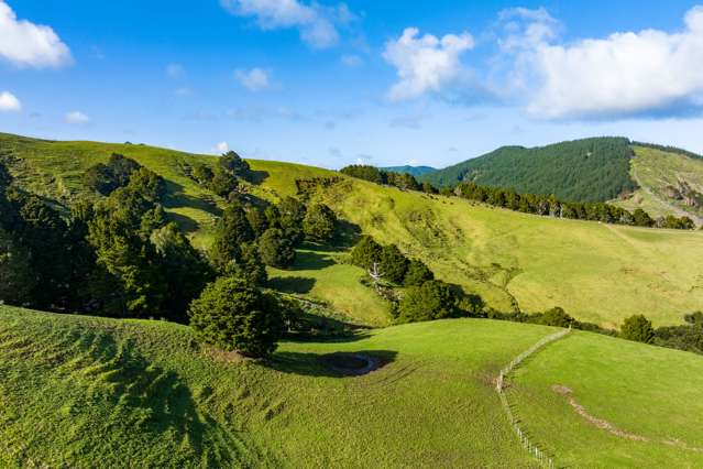 36 Ototara Lane Whangaripo_3