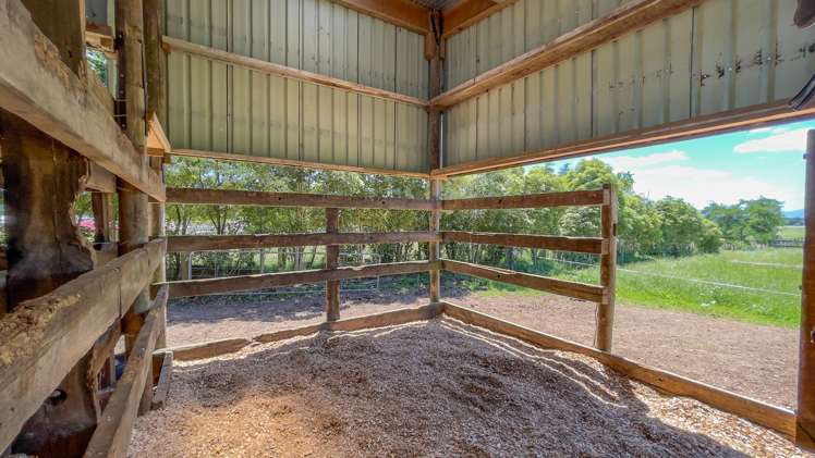 54 Pioneer Road Tahuna_15