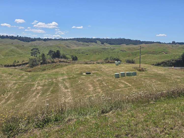 473 Otake Road Marotiri_13