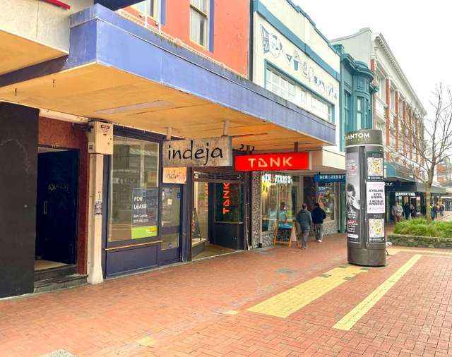 A/108 Cuba Street Te Aro_1