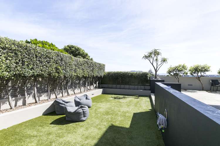 63 Burnham Street Seatoun_21