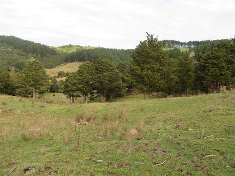 565 Bickerstaffe Road Maungaturoto_6