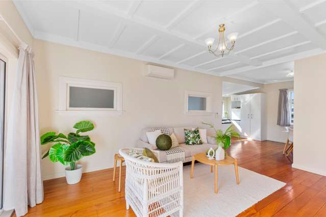 36 Salisbury Street Levin_2