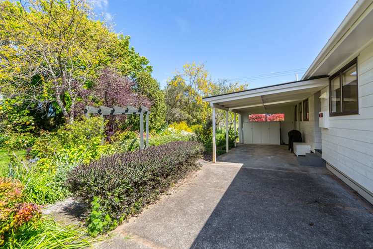 138 Wards Line Greytown_5