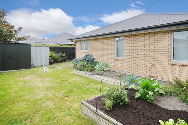 14 Cassidy Avenue Lincoln_19