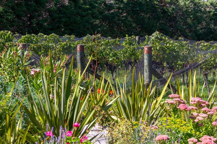 190 Regent Street Martinborough_21