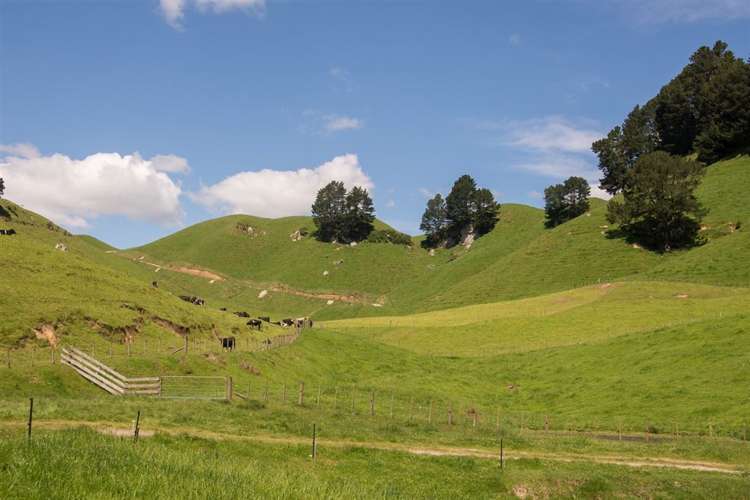 1943 Tutukau Road Wairakei and Surrounds_3