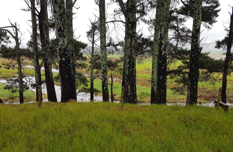 7 Edwards Street Waihi Beach_19