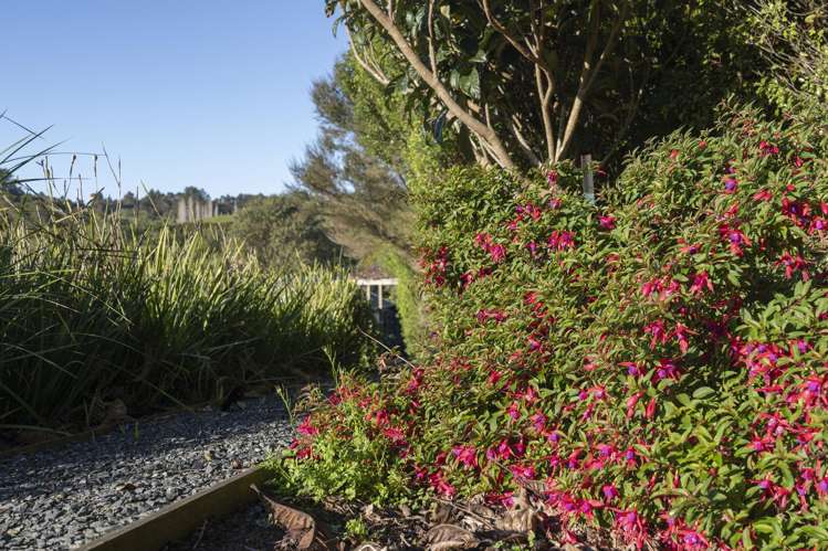 39 Rautahi Terrace Redvale_35