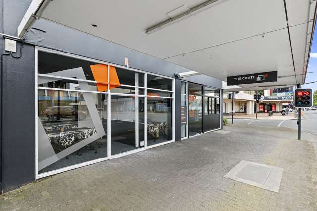 526 Victoria Street Hamilton Central_4