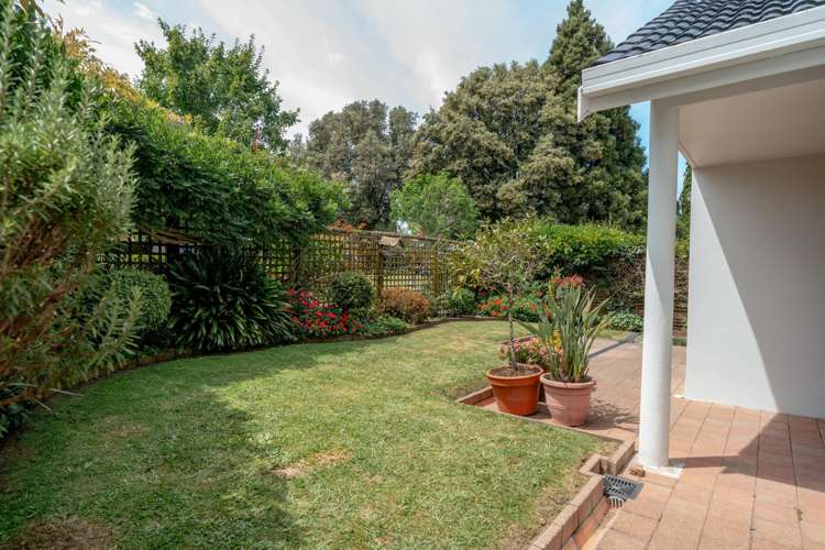 88 Ninth Avenue Tauranga Central_8