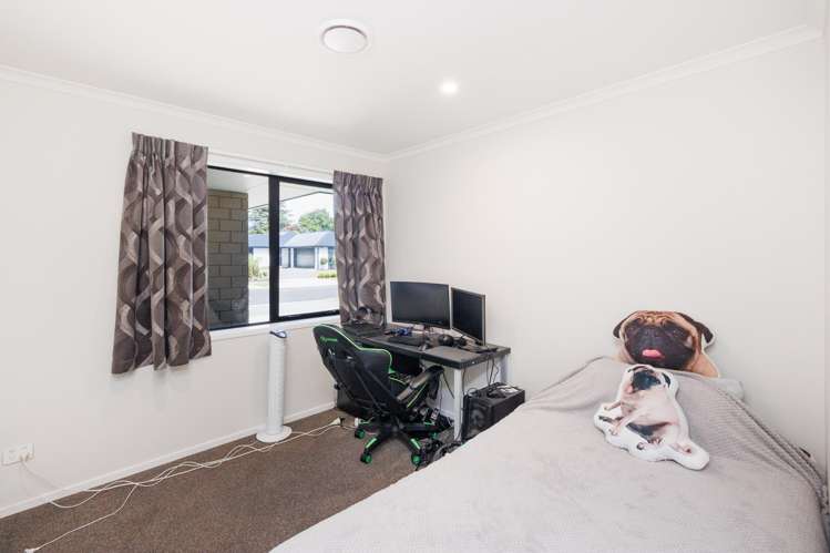 2 Monarch Drive Ashhurst_16