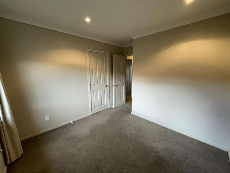 5 Catlins Glen Aotea_14