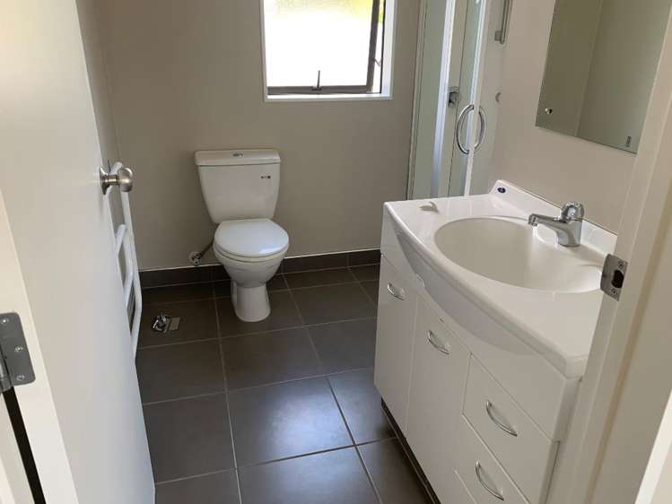 221b Fox Street Hamilton East_18