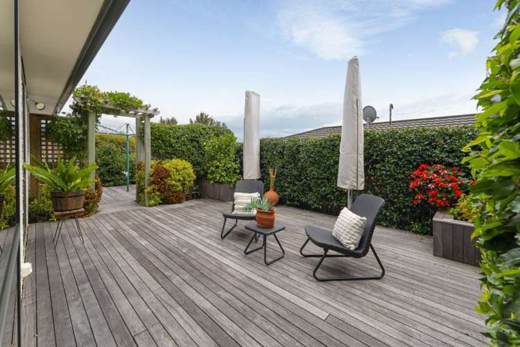 450 Suffolk Road Stoke_15