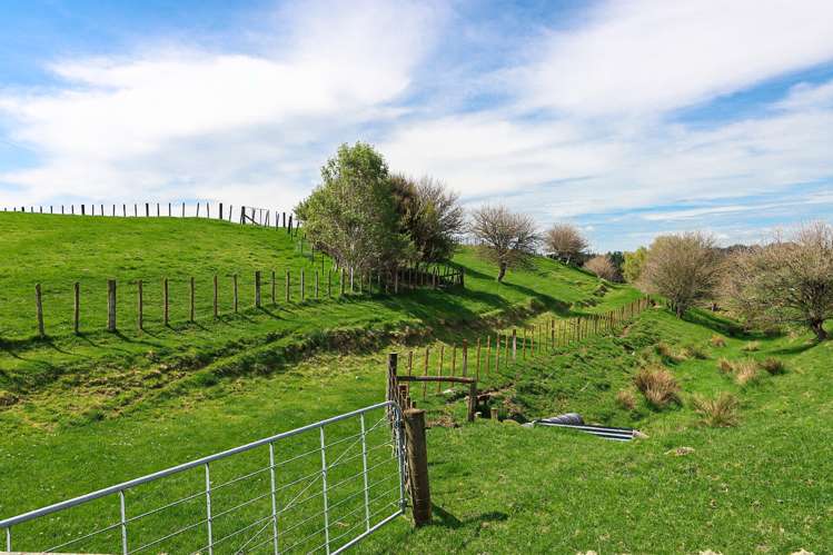 54a Ruahine Street Dannevirke_24