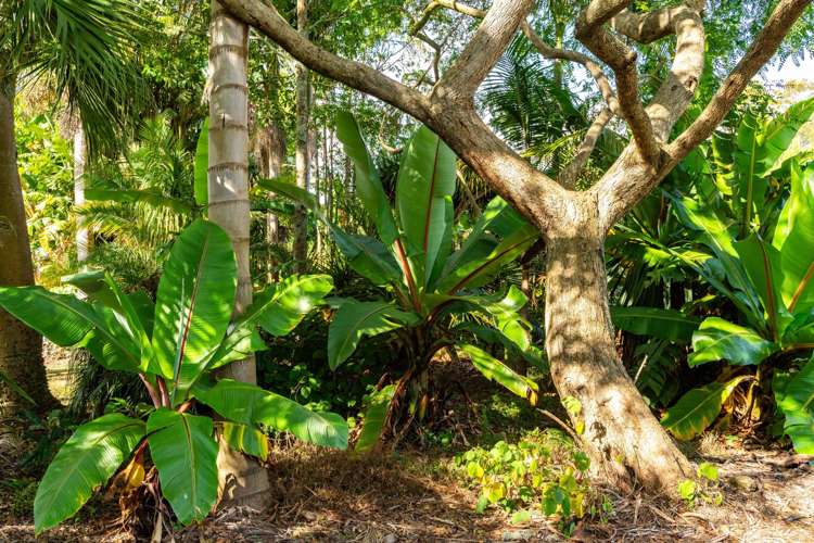 440 Mangakahia Road Maungatapere_21