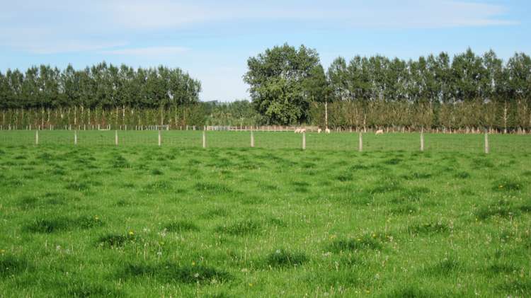 1010 Glenkenich Road Gore Surrounds_7