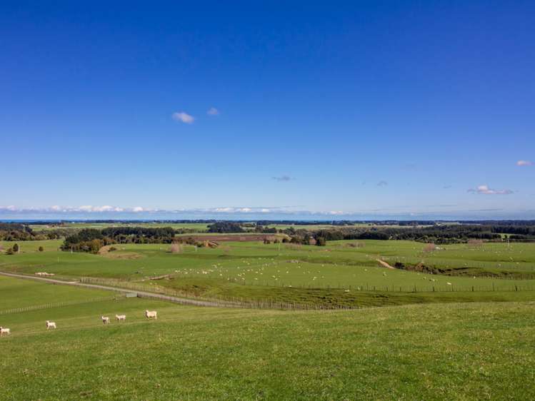 438 Omahina Road Waverley_3