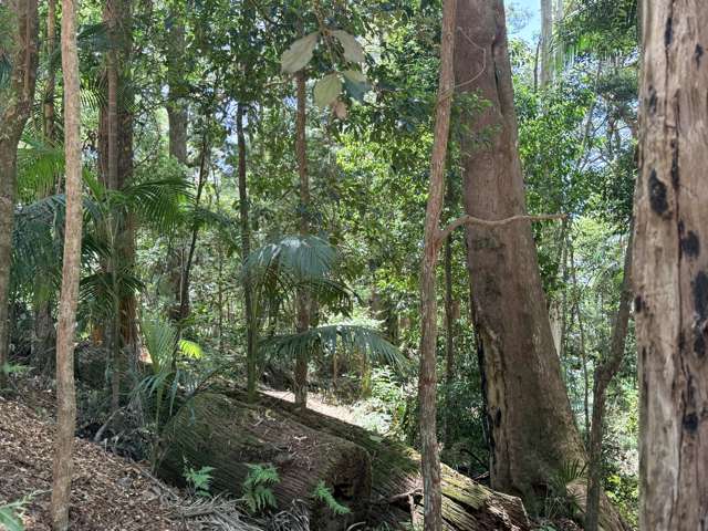 127 Wongawallan Road Tamborine Mountain_3