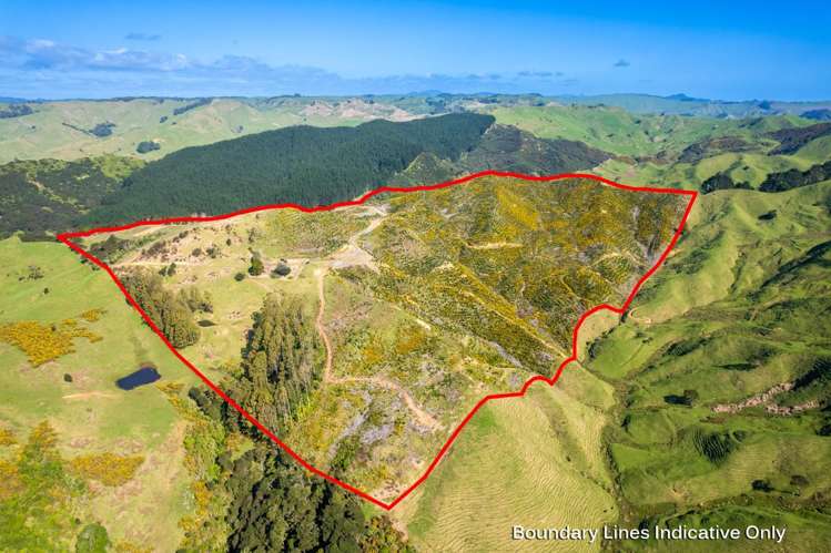 Lot 3 Whakapirau Road Kawhia_6