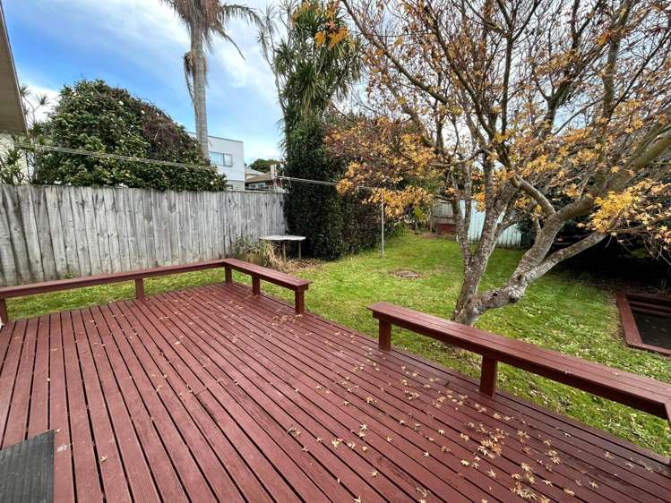 60 Asquith Avenue Mount Albert_14