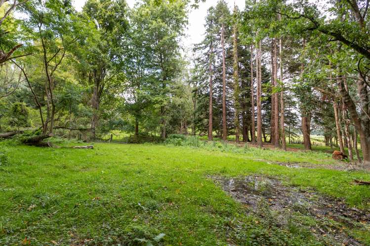 73 Castle Hill Road Eketahuna_19