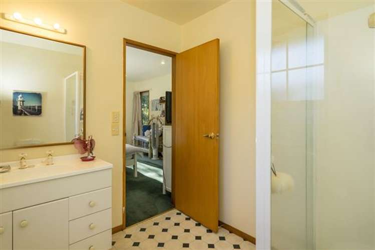 39 Pinewood Close Swannanoa_11