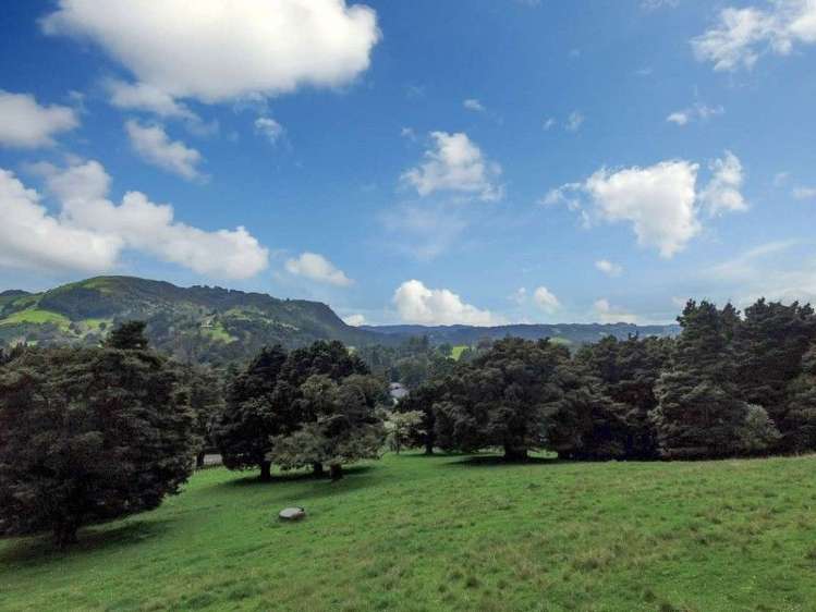 164 Dip Road Kamo_12