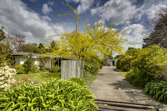 402 State Highway 51 Whakatu_2