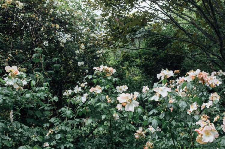 1551 Great South Road Ramarama_43